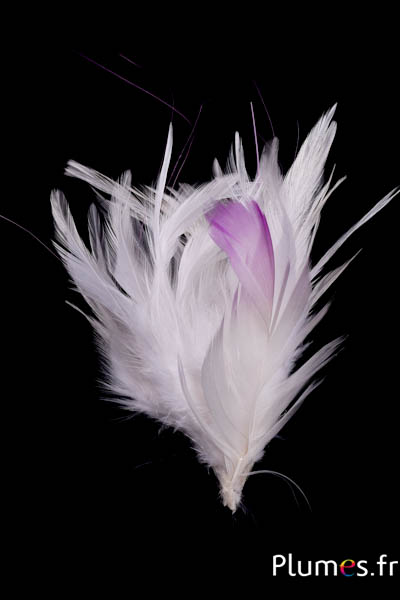 Plumet coq -  hauteur 15 cm - blanc-lilas